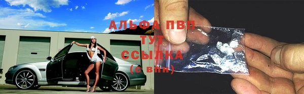 дмт Арсеньев