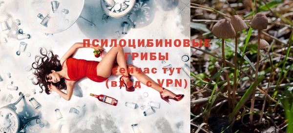дмт Арсеньев
