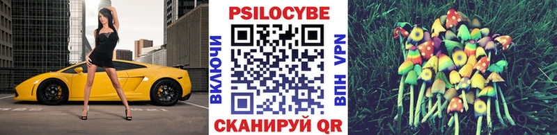нарко площадка формула  Бокситогорск  Галлюциногенные грибы Psilocybine cubensis 